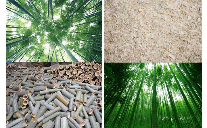 木屑顆粒機設(shè)備的發(fā)展會越來越好 木屑顆粒機設(shè)備的發(fā)展會越來越好