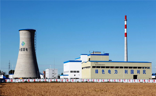 生物質秸稈顆粒燃料產業(yè)化發(fā)展前景 生物質秸稈顆粒燃料產業(yè)化發(fā)展前景