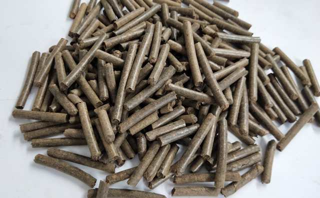 鋸末顆粒機(jī)顆粒 鋸末顆粒機(jī)顆粒