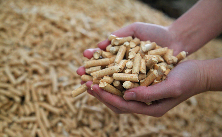 鋸末顆粒機(jī)的生物質(zhì)顆粒燃料 鋸末顆粒機(jī)的生物質(zhì)顆粒燃料