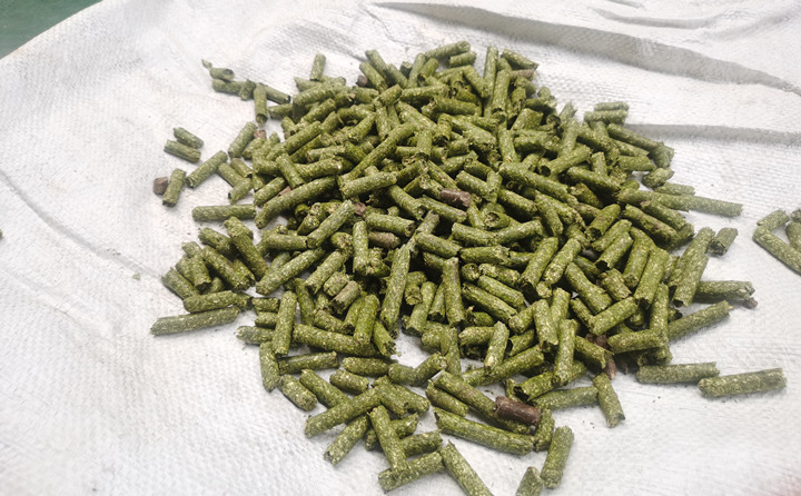 鋸末顆粒機(jī)加工的顆粒燃料 鋸末顆粒機(jī)加工的顆粒燃料