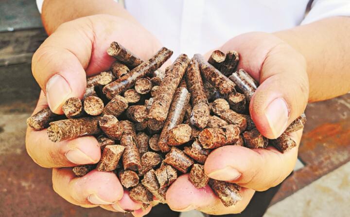 農(nóng)村生產(chǎn)產(chǎn)生的農(nóng)作廢棄物由木屑顆粒機變廢為寶 農(nóng)村生產(chǎn)產(chǎn)生的農(nóng)作廢棄物由木屑顆粒機變廢為寶