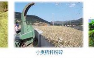 農(nóng)民科學(xué)發(fā)展新思路，秸稈綜合利用成為賺錢好門路之秸稈顆粒機(jī)