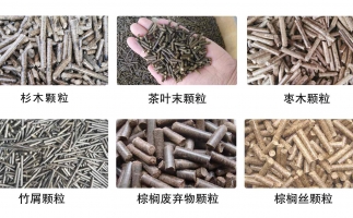 木屑顆粒機多少錢及發(fā)展趨勢如何？看這里