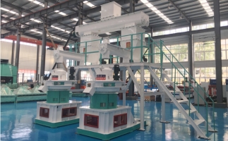 木屑顆粒機(jī)多少錢一臺(tái)?建顆粒廠大約多少錢？