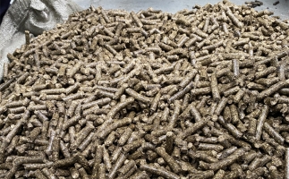 為什么很多人想了解木屑顆粒機(jī)加工的燃料顆粒作用？