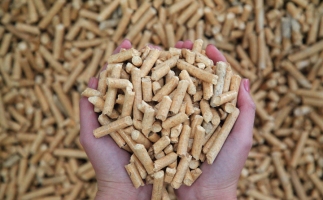 夏季儲(chǔ)存鋸末顆粒機(jī)生物質(zhì)顆粒的方法，要認(rèn)真看喲