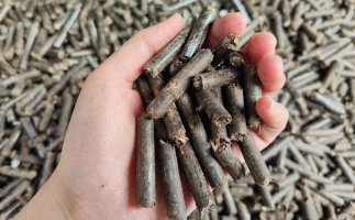 生物質顆粒燃料公司前景怎么樣，木屑顆粒機的顆粒燃料賣給誰的？