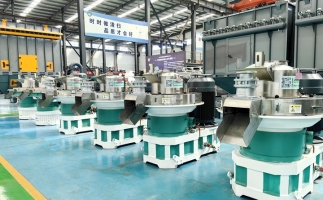 快來看看，木屑顆粒機如何將各種廢棄物料轉(zhuǎn)化為顆粒燃料的