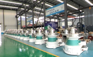 新手開顆粒廠，該選小型還是大型木屑顆粒機？